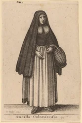 Donzela de Colônia