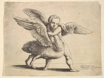 Cupido e o cisne, 1652.