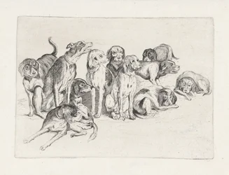 Onze cães de caça