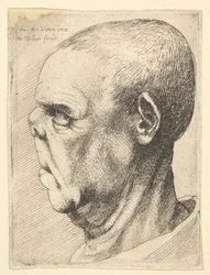 Velho grotesco de nariz achatado, de perfil para a esquerda, 1625-77