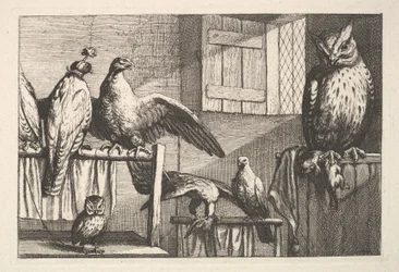 Falcões e corujas, 1625-77.
