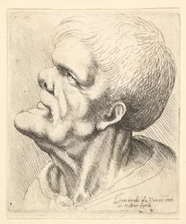 Cabeça de um homem com queixo saliente e nariz arrebitado, olhando para cima, de perfil para a esquerda, 1625-77.