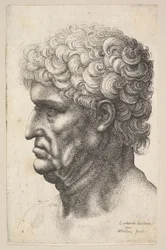 Cabeça de um homem com cabelos cacheados e grossos em perfil à esquerda, 1640-49.