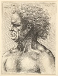 Cabeça de um homem musculoso de perfil à esquerda com cabelos soltos, 1625-77.