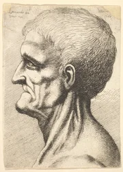 Cabeça de um homem desdentado, com o pescoço nu e musculoso de perfil para a esquerda, 1648.