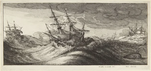 Marinha em tempestade