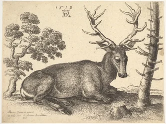 Veado deitado à direita, 1649.
