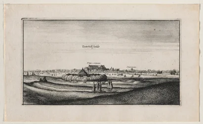 Campos de Tothill