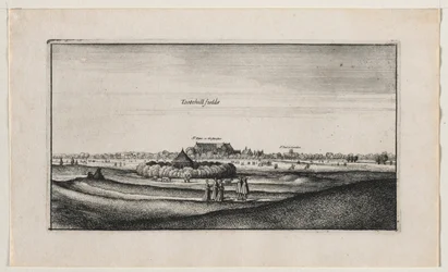 Campos de cultivo.