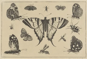 Borboletas, vespas e outros insetos Vários insetos (título da série) Diversae Insectorum (título da série)