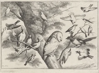 Pássaros numa árvore
Várias aves (título da série)