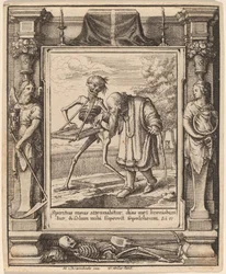 Velhote