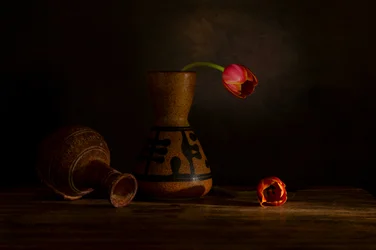 Natureza morta com tulipas melancólicas