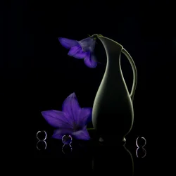 Flores Roxas: Elegância Escura