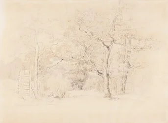 Paisagem, bosque