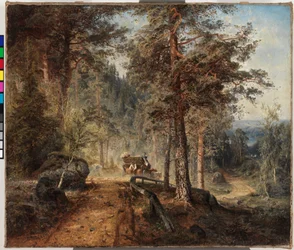 Estrada em Häme (Um quente dia de verão)