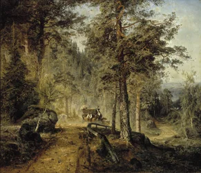 Estrada em Häme (um dia quente de verão)