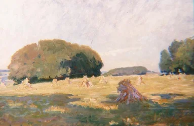 Palheiros num campo