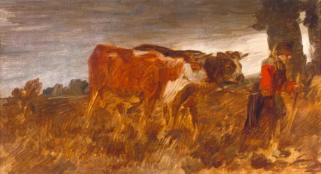 Agricultor com vacas
