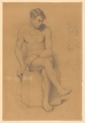 Nu masculino