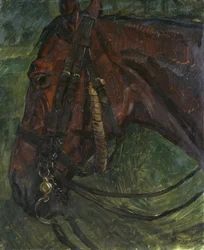 Cabeça de cavalo