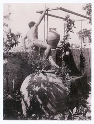 Retrato de um rapaz (fotografia)