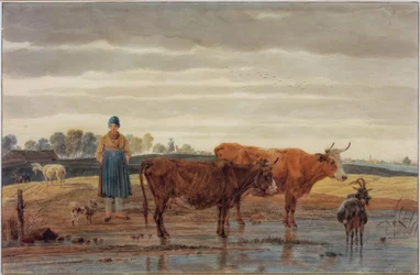 Agricultor com gado pastando pela água