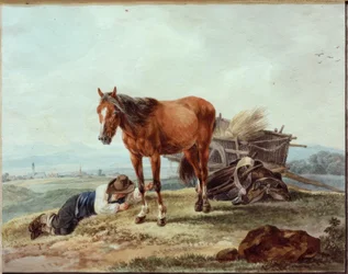 Camponês dormindo com cavalo