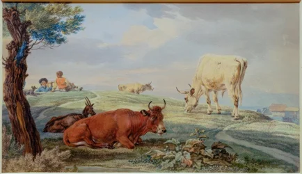 Paisagem de pastagem do Oberland da Baviera
