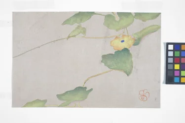Flower Study, c.1908 (impressão em bloco de madeira a cores)