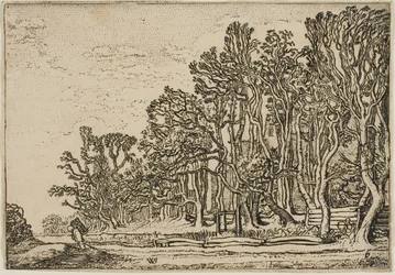 Paisagem com Sebes de Pranchas e Homem Carregando Madeira