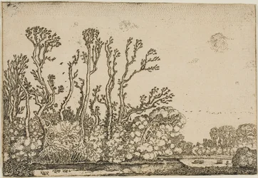 Paisagem com árvores, lagoa e ovelhas