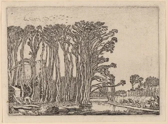 O Carvoeiro