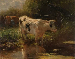 Vaca ao lado de uma vala Vaca no lado da vala