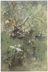 Patos sob salgueiros