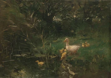 Patos