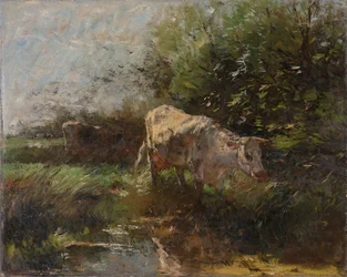 Prado com vacas
