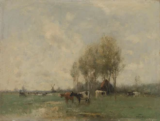 Prados com vacas