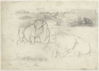 desenhos de vacas