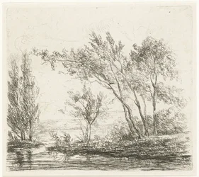 Paisagem com árvores à beira d