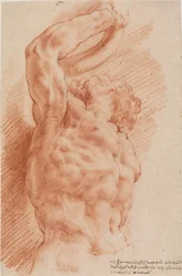 Laocoonte. O torso de Laocoon é visto de baixo à direita.