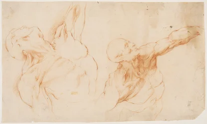 Dois estudos anatômicos (écorchés). Torso esfolado de um homem, seu braço esquerdo levantado