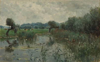 Prados de água no rio IJssel