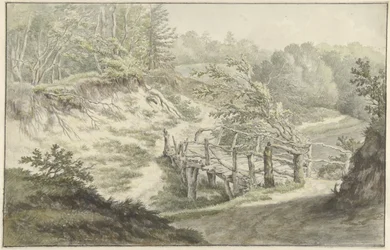 Paisagem dunar com ponte de madeira