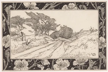 Paisagem de dunas com capim marram