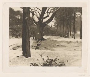 Paisagem de floresta nevada em Ede