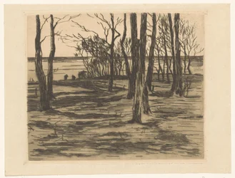 Árvores à beira-mar em Valkeveen