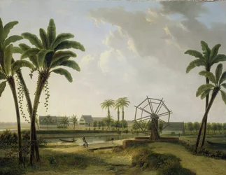 Vista da Plantação de Café Marienbosch no Suriname