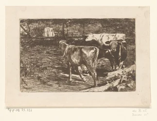 Quatro vacas num prado
Melkbocht (título original)