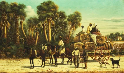O vagão de algodão,